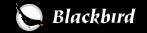 blackbird