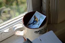 Picture of a bird mug with a bird postcard on window ledge corner.