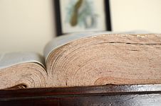 Close-up of open dictionary with blurred bird print behind.