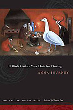 If Birds Gather Your Hair for Nesting, by Anna Journey